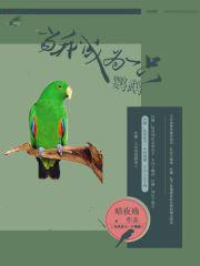当我成为一只鹦鹉 当我成为一只鹦鹉