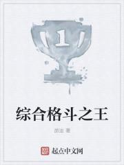 综合格斗之王 综合格斗之王