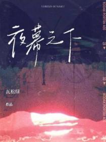 夜幕之下 夜幕之下