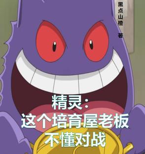 精灵:这个培育屋老板不懂对战 精灵:这个培育屋老板不懂对战