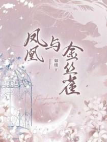 凤凰与金丝雀 凤凰与金丝雀