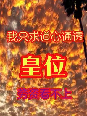 只求道心通透 只求道心通透