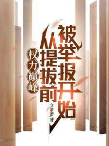 权力巅峰:从提拔前被举报开始 权力巅峰:从提拔前被举报开始