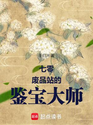 七零废品站的鉴宝大师 七零废品站的鉴宝大师