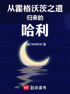 从霍格沃茨之遗归来的哈利 从霍格沃茨之遗归来的哈利