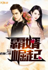 霸婿崛起 霸婿崛起