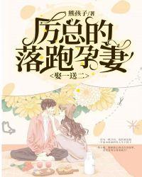 娶一送二,厉总的落跑孕妻 娶一送二,厉总的落跑孕妻